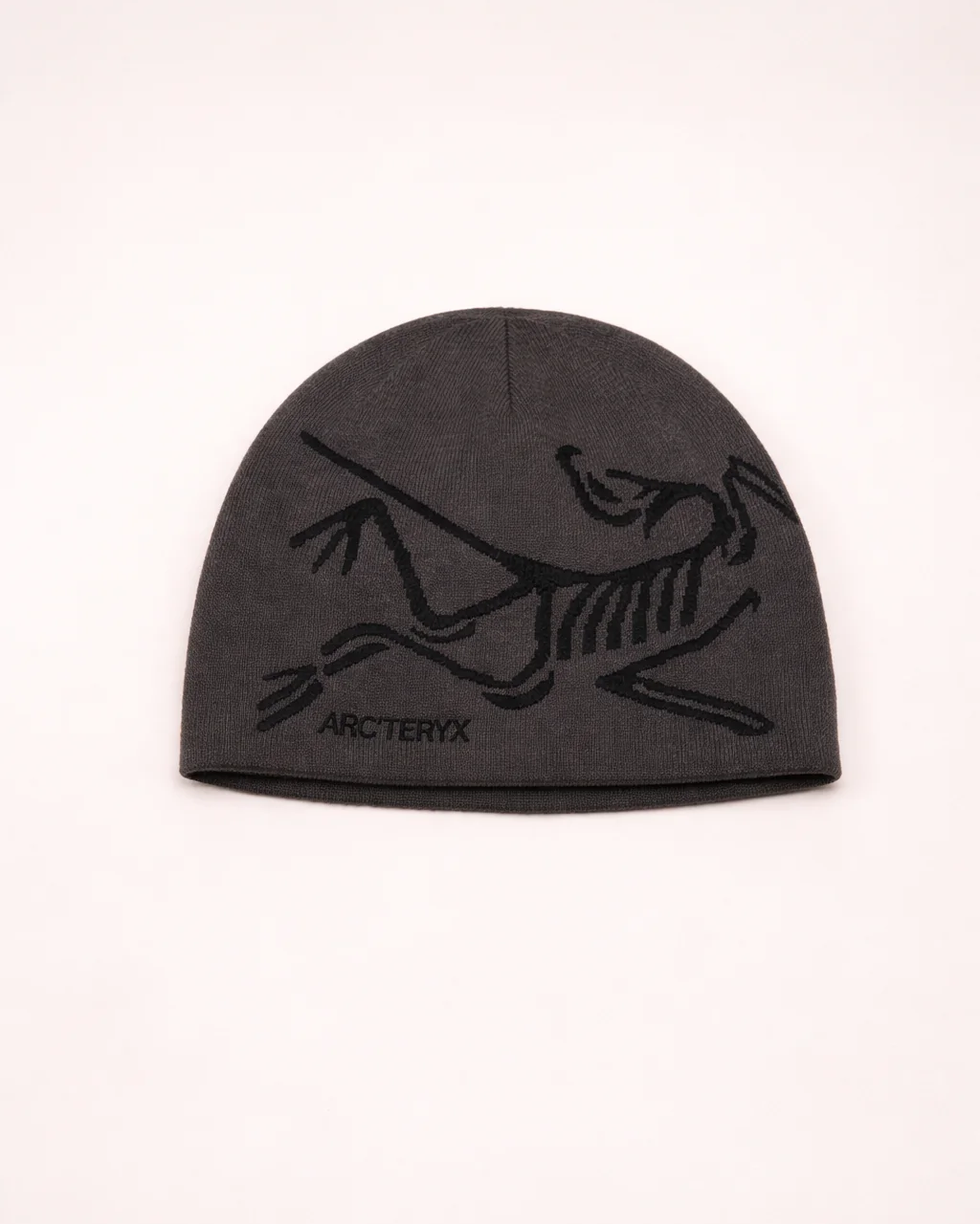 ARC Crest Beanie